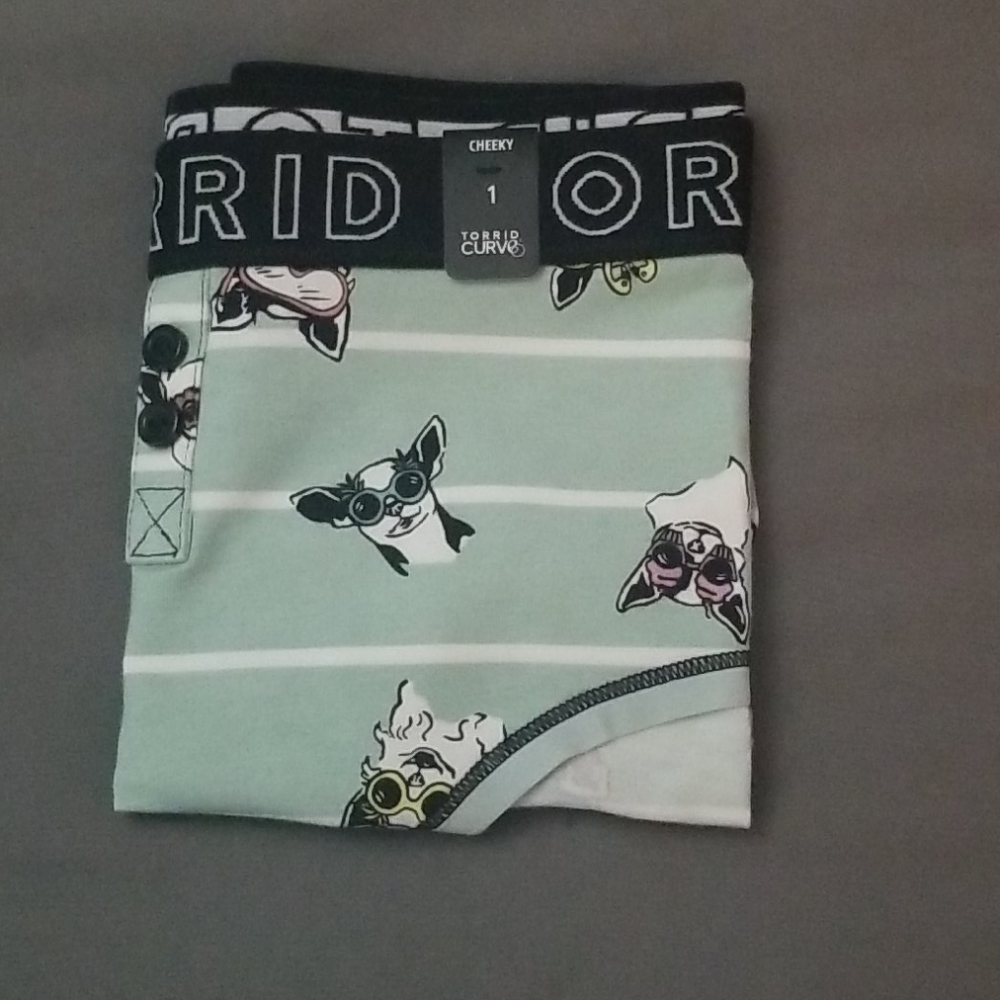Torrid size 1 panty